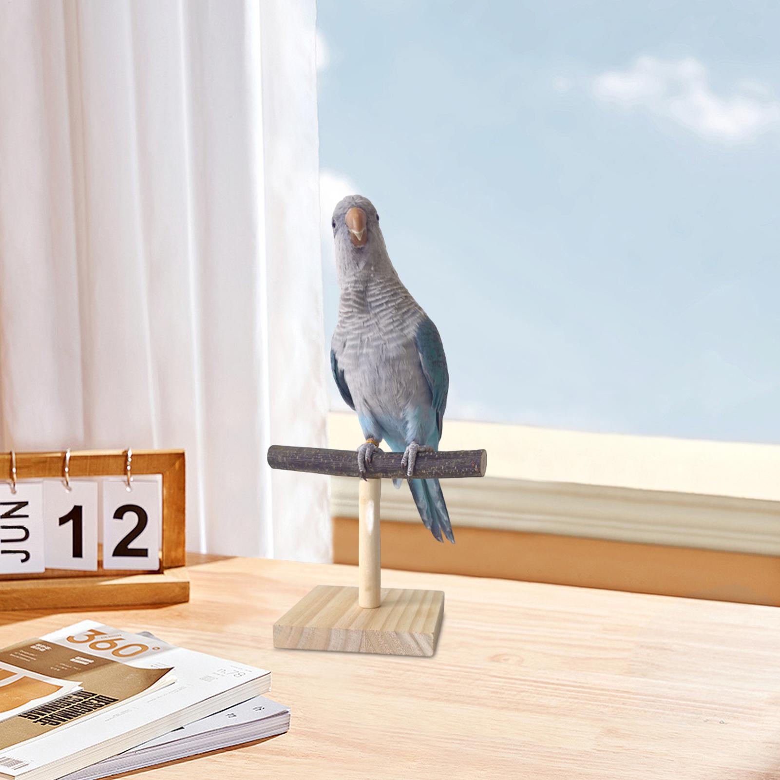 Tempat Bertengger Burung Kayu  - Desk Setup Wood ulasan dan harga