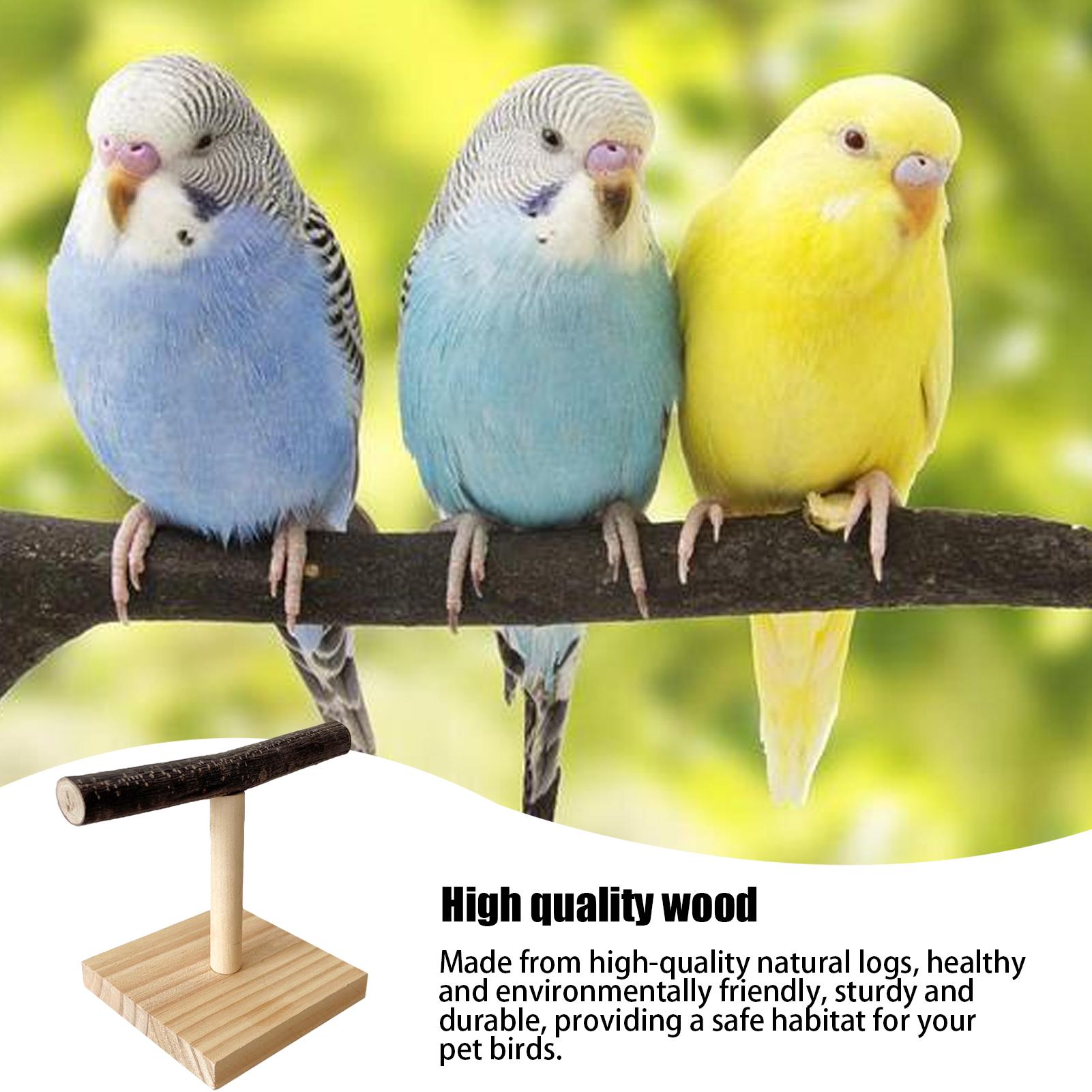 Tempat Bertengger Burung Kayu  - Desk Setup Wood ulasan dan harga