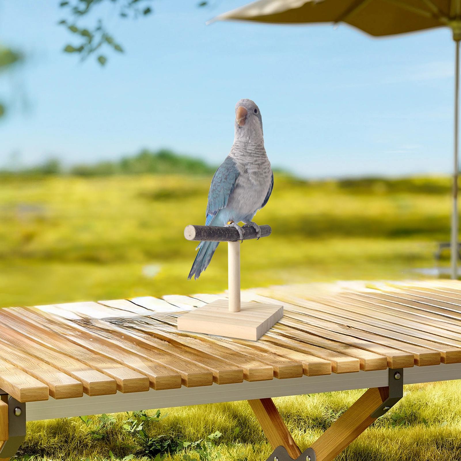 Tempat Bertengger Burung Kayu  - Desk Setup Wood ulasan dan harga