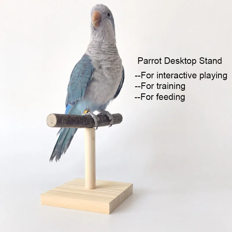 Stand Desktop alami burung bay - Desk Setup Wood ulasan dan harga