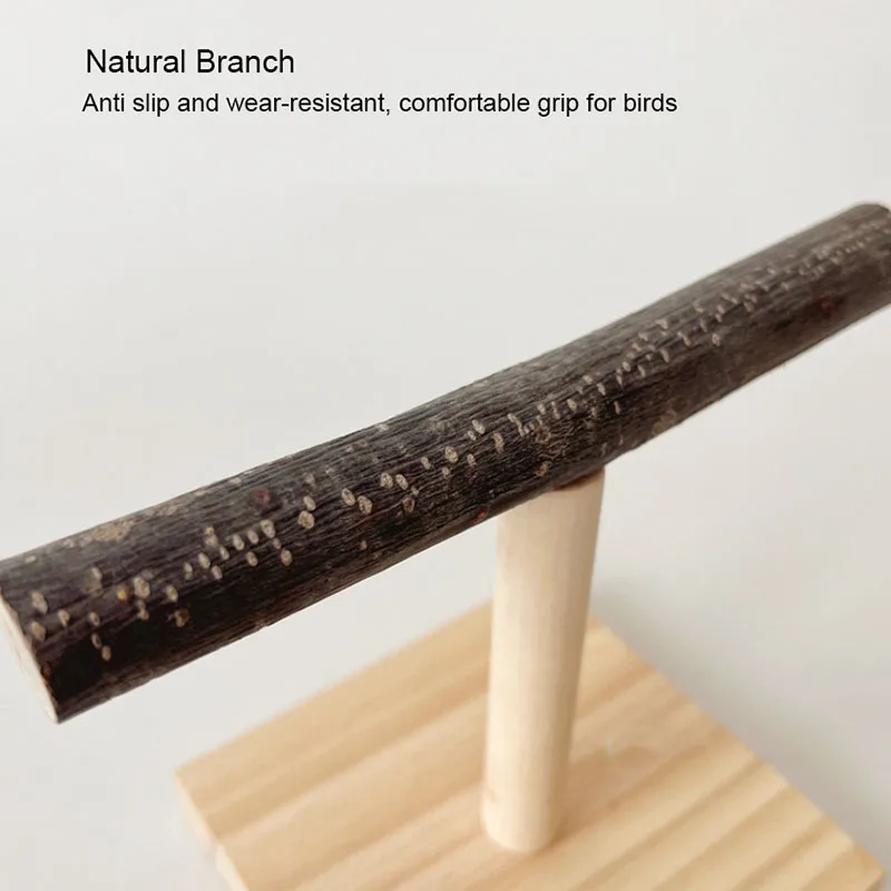Stand Desktop alami burung bay - Desk Setup Wood ulasan dan harga