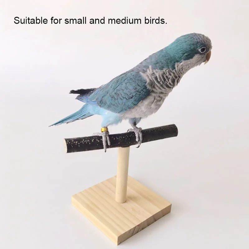 Stand Desktop alami burung bay - Desk Setup Wood ulasan dan harga